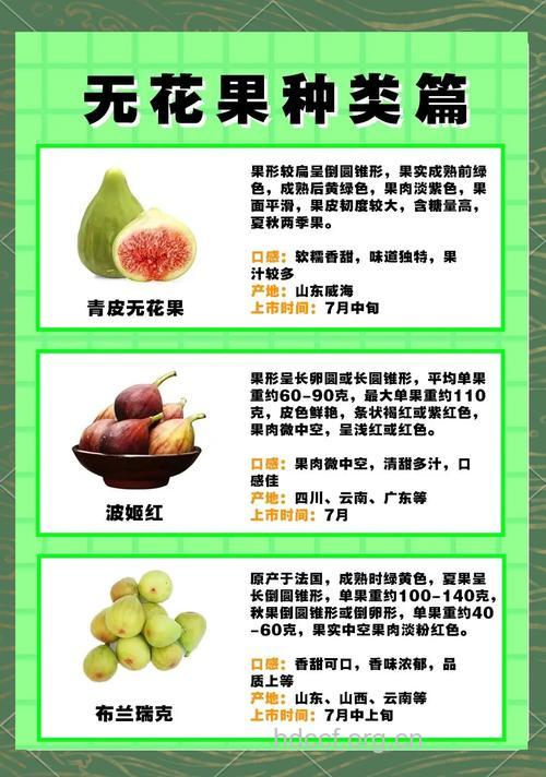 无花果有哪些神奇功效