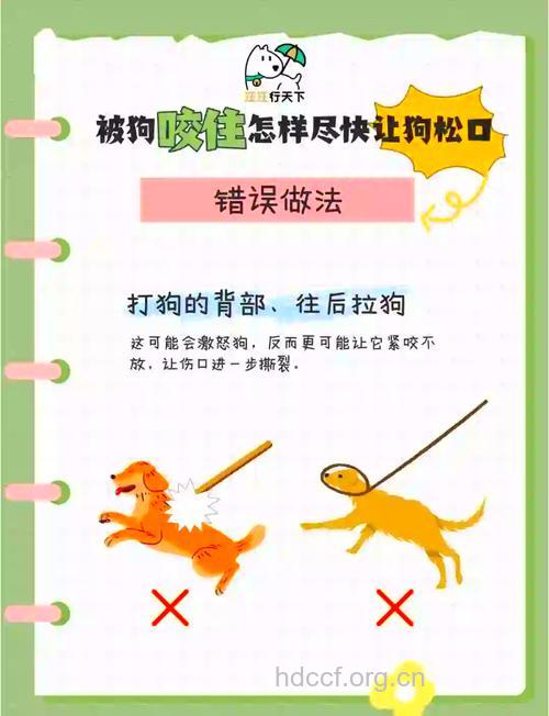 伤口被狗舔的急救方法