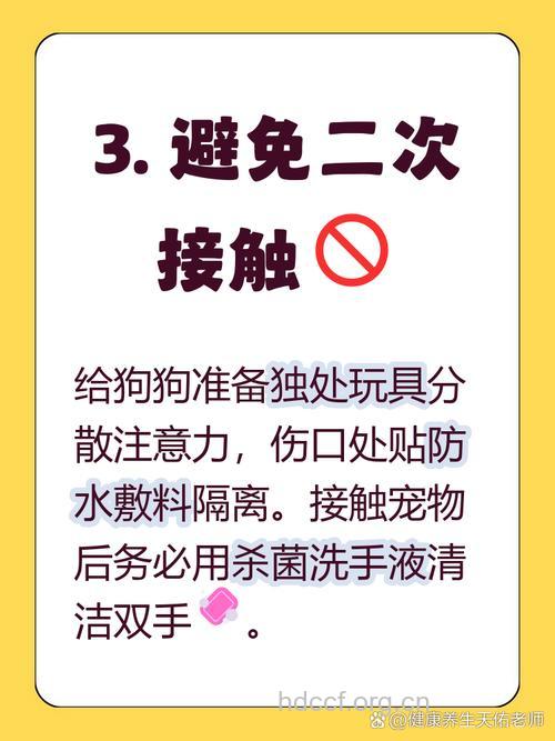 伤口被狗舔的急救措施