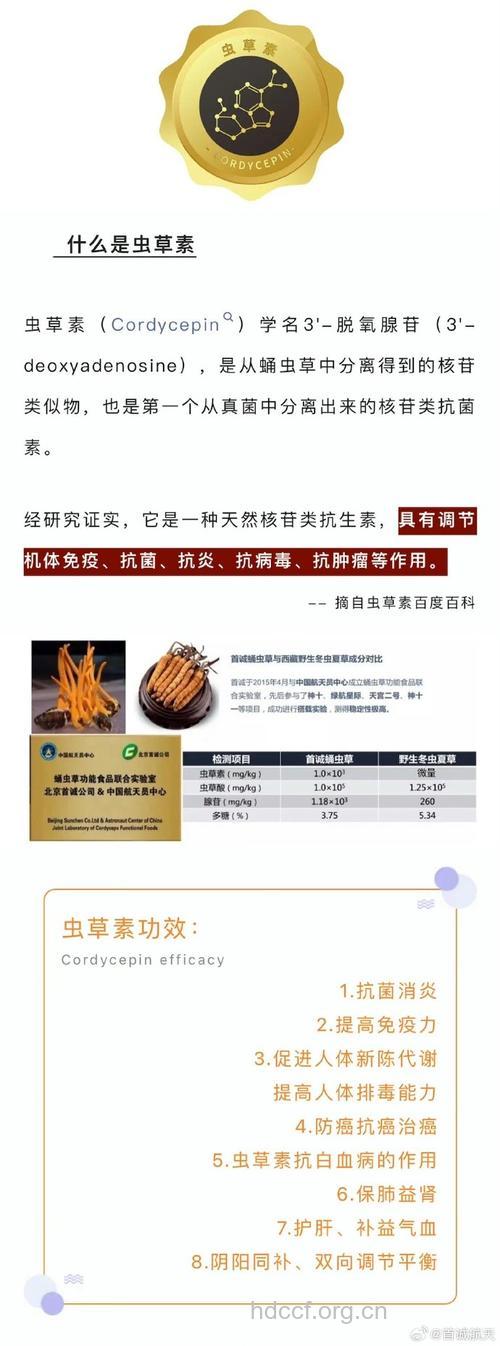虫草素的药理作用和服用方法