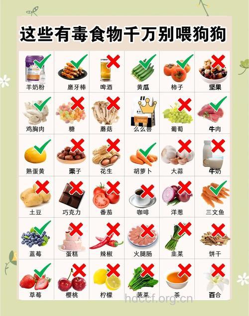 不可错过 饮食禁忌大集合