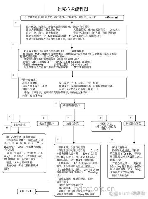 家人休克如何急救?