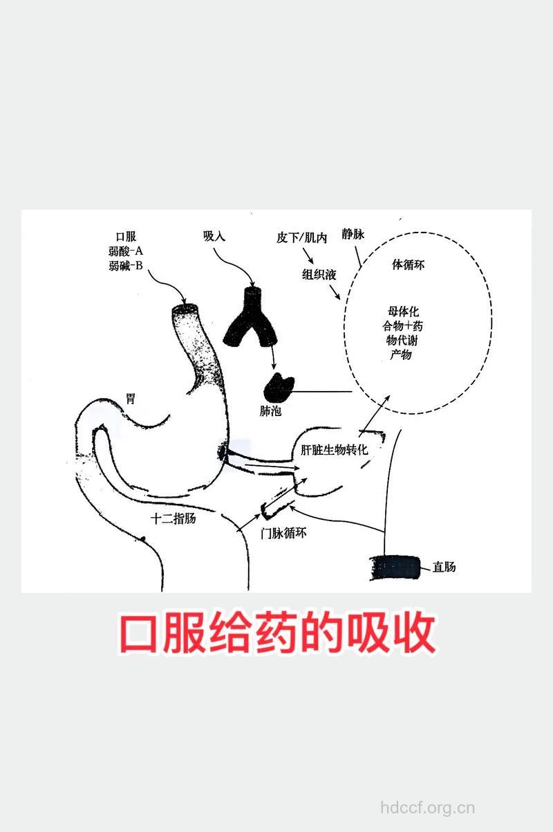 改变了给药途径有哪些严重后果