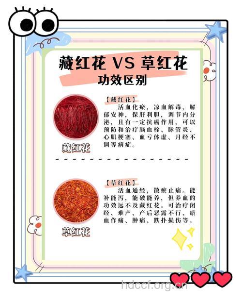藏红花与红花的功效及用量区别