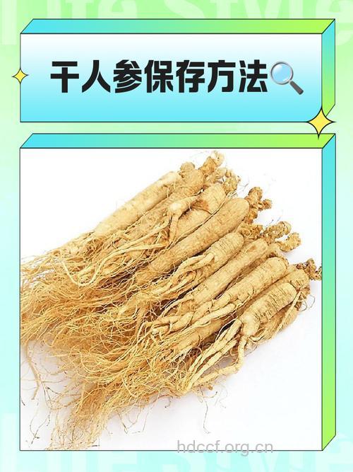 几种名贵中药的保存方法