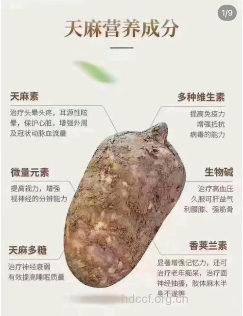 天麻的用药禁忌以及毒副作用