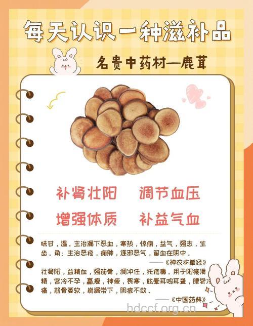鹿茸大补哪些人慎用