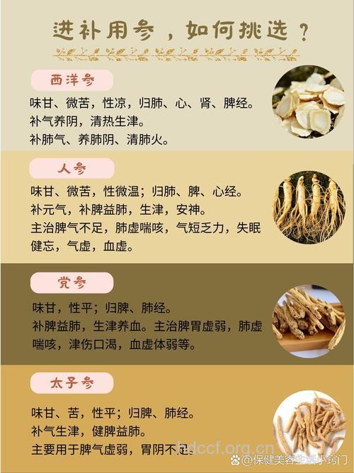 中老年人进补中药你选对了吗