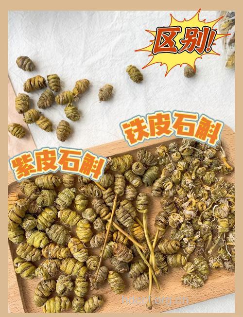 如何辨别铁皮石斛和紫皮石斛