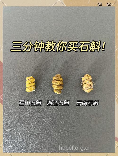 教你如何辨别真假石斛