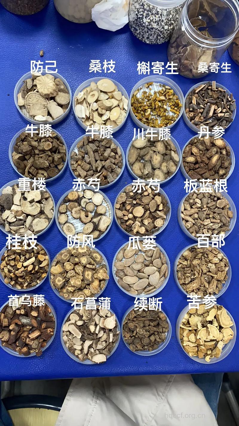 几种较名贵的中药材简单鉴别方法