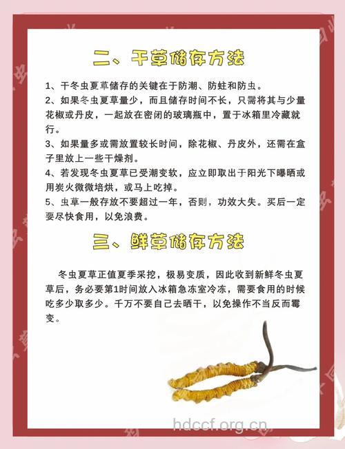 名贵中草药怎么储存不会坏