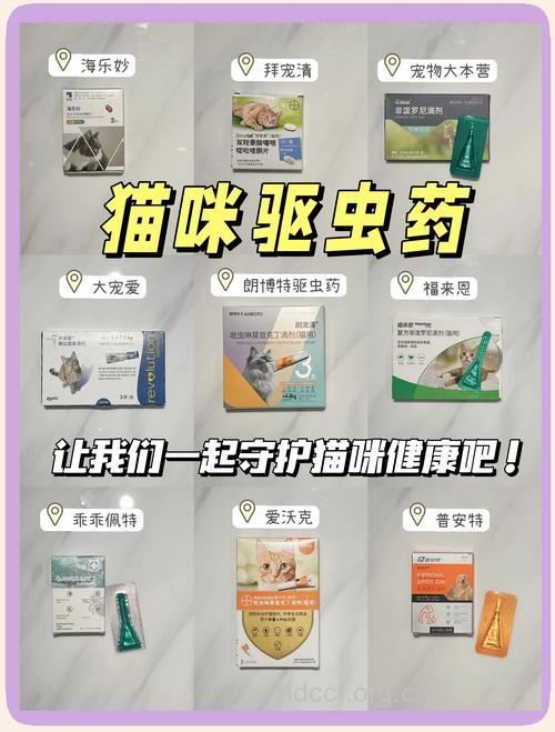 常用驱虫药的种类及服用方法