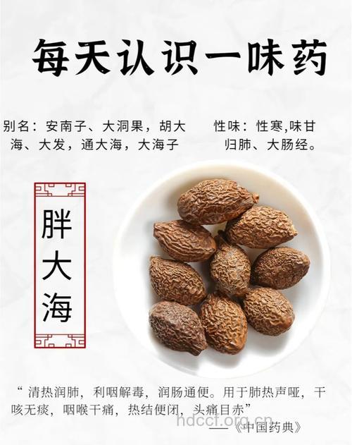 长期饮用胖大海可导致全身不适