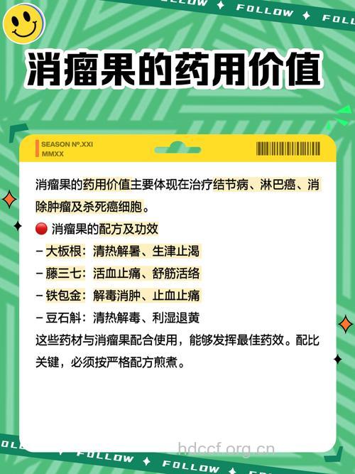 多食水果抗化疗药物副作用