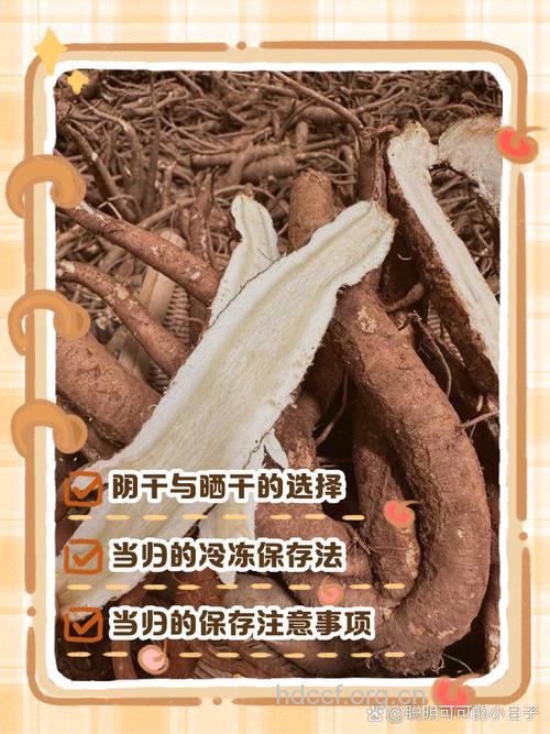 当归如何保存才能保证药效?