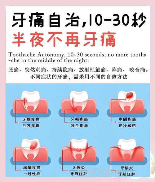 牙痛的应急止痛妙招