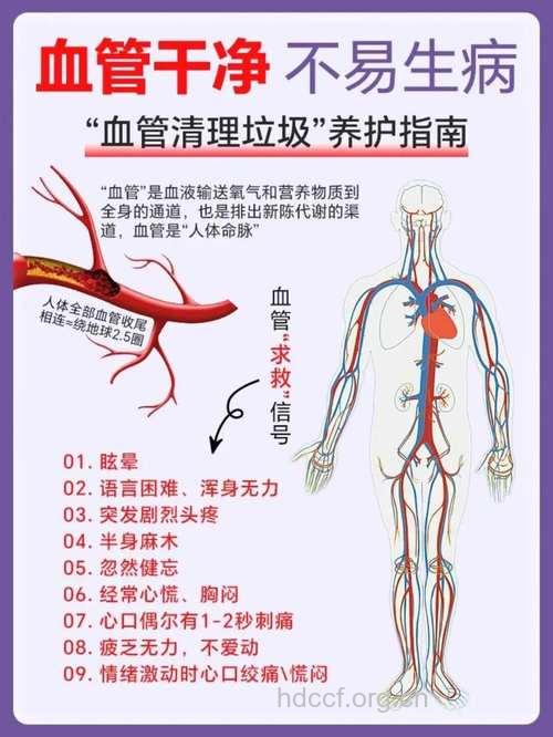 防治冠心病 应扫除血管内的“垃圾”