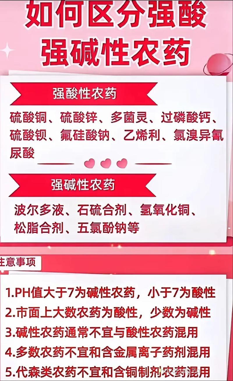 醋不宜与碱性药物及磺胺类药同服