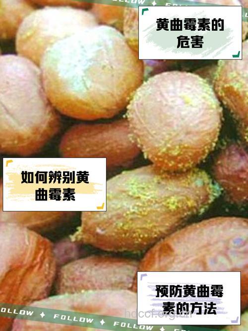哪些中成药最容易霉变呢?