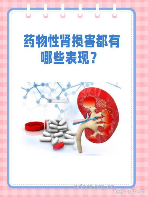 药物对肾脏的四种常见损害