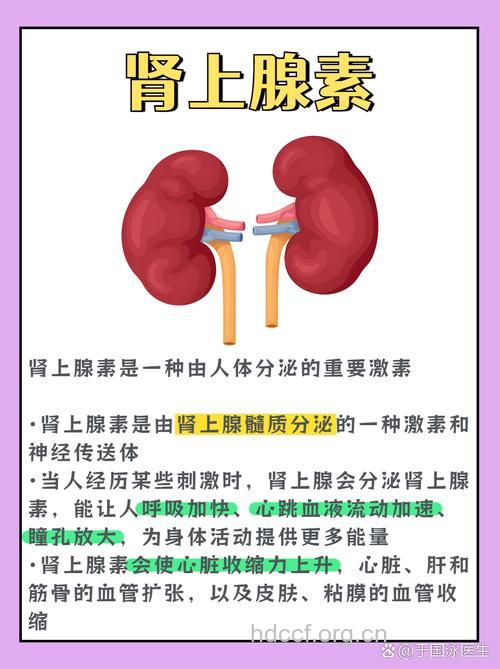 肾上腺皮质激素五大副作用