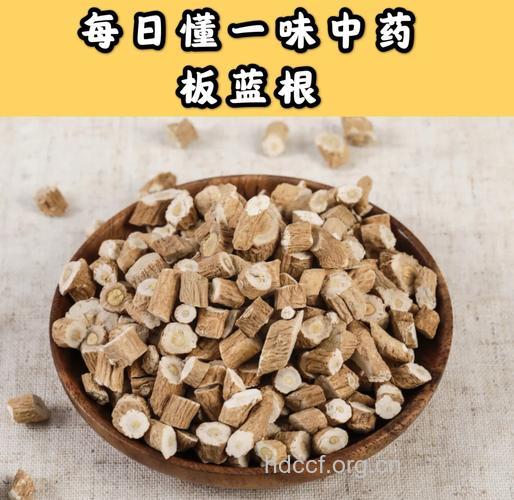 板蓝根并不适合所有人