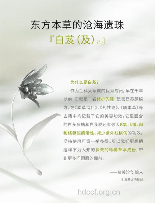《本草纲目》的美白珍方