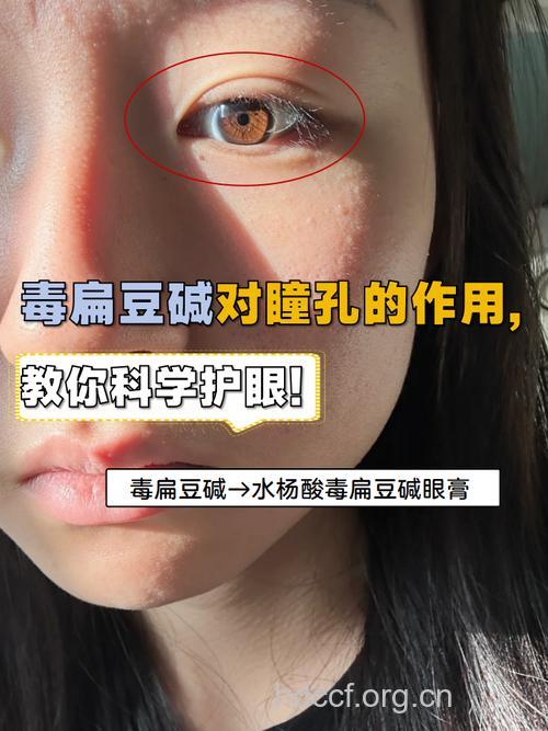 哪些药物可引起眼部中毒?