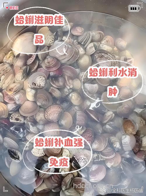 蛤蜊――解酒良方