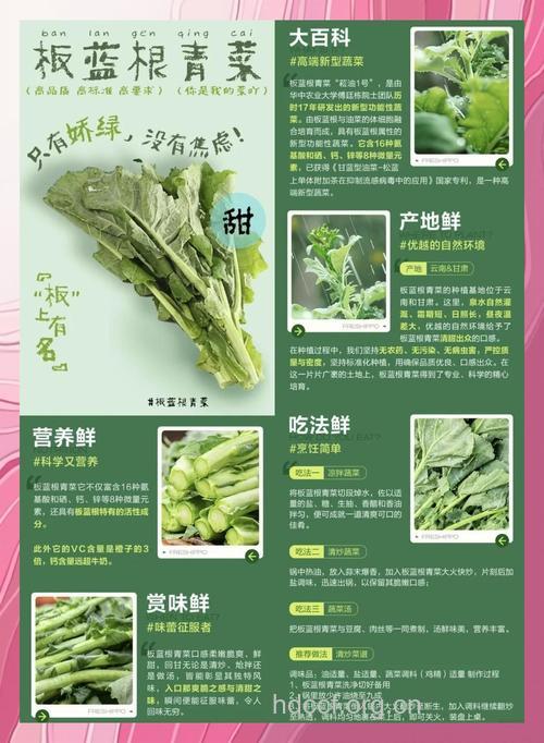 如何吃板蓝根?