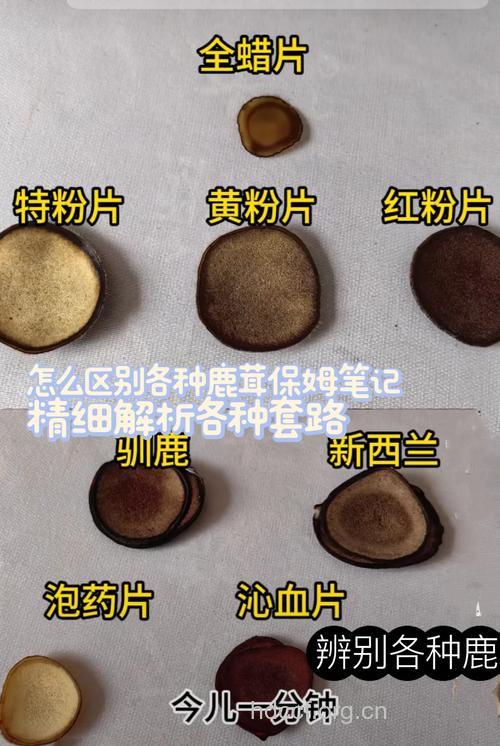 如何鉴别真假鹿茸片？