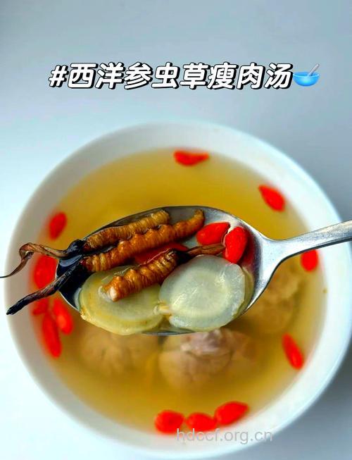 冬虫夏草 泡茶饮最好