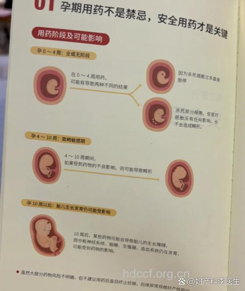 怀孕后多久服药会影响胎儿发育?