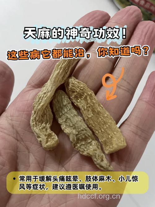 凡是眩晕均可用天麻吗?