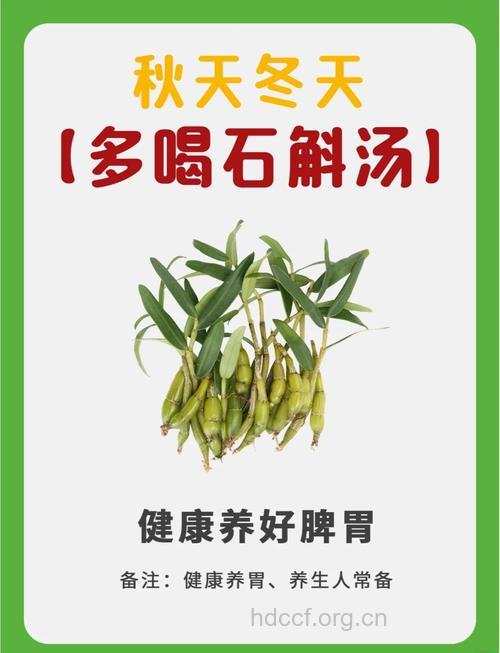 “石斛二冬汤”治慢性咽炎急性发作妙法