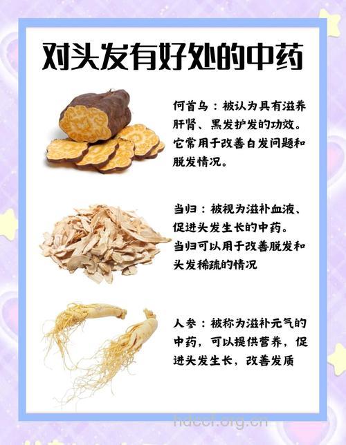 中医养发方 辨治脱发根源