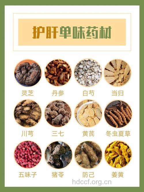 哪些中药具有保肝抗肝硬化作用?