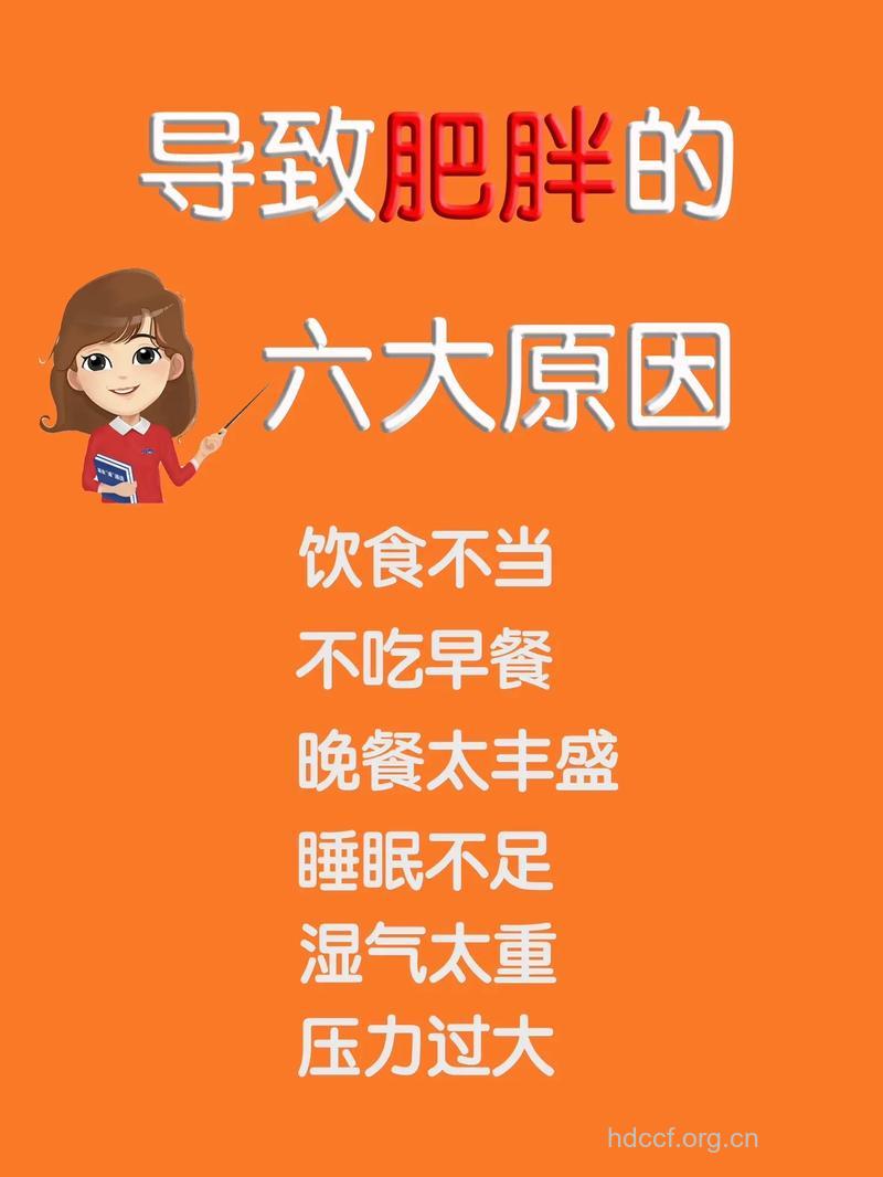 为什么会变胖 是不是三餐不规律?