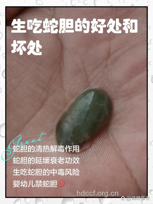 蛇胆治病 但切勿生吃
