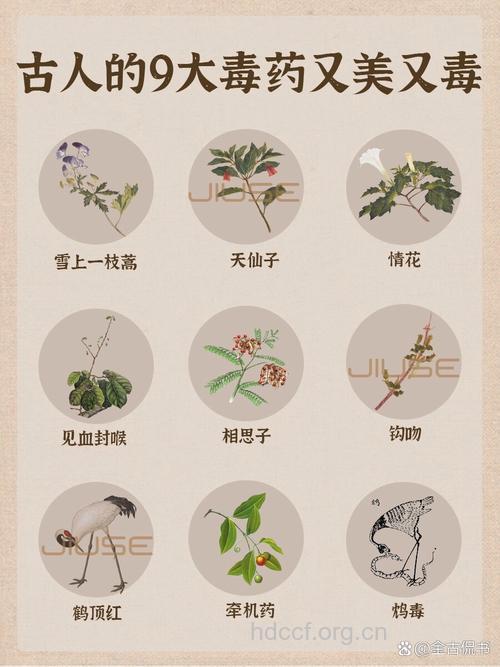中药的“毒”在哪里?