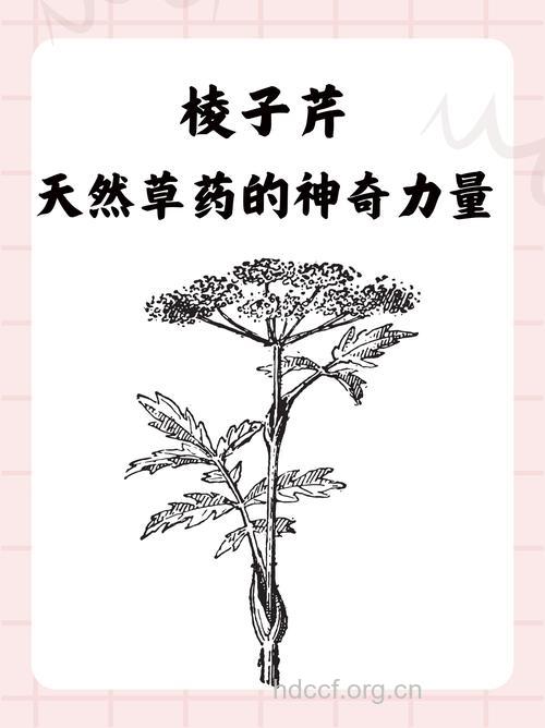 哪些中药可用来解救食物中毒?