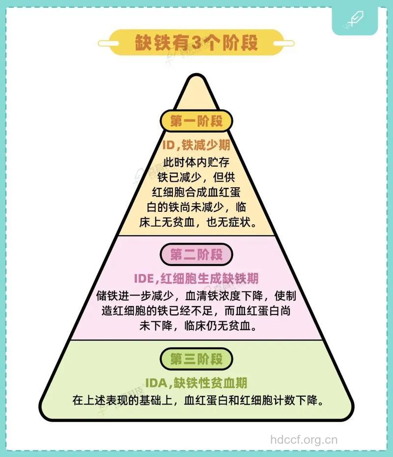 晚7点服铁剂吸收率高