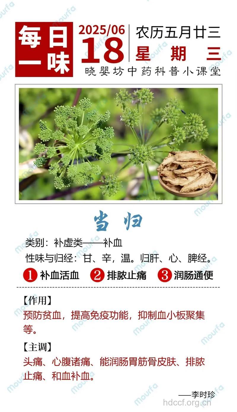 藏药也有“性味归经”