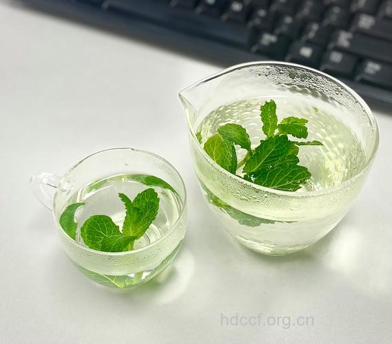 喝薄荷水能减肥 女人每天可来一杯