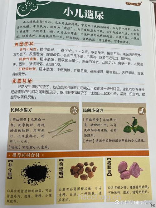 小儿遗尿的食疗与药膳妙方
