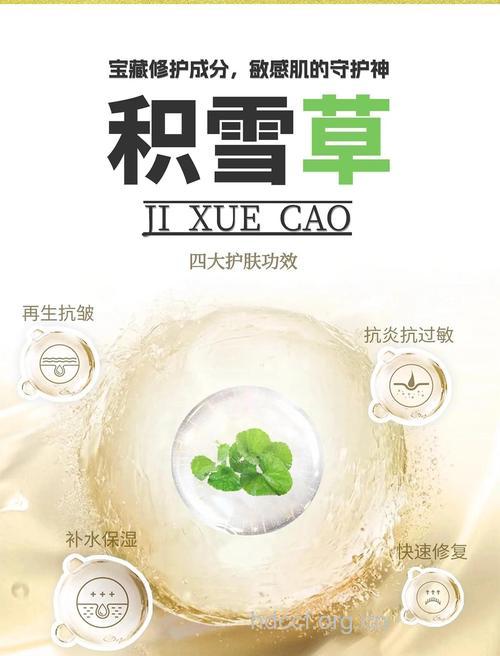 常见中草药及其护肤作用