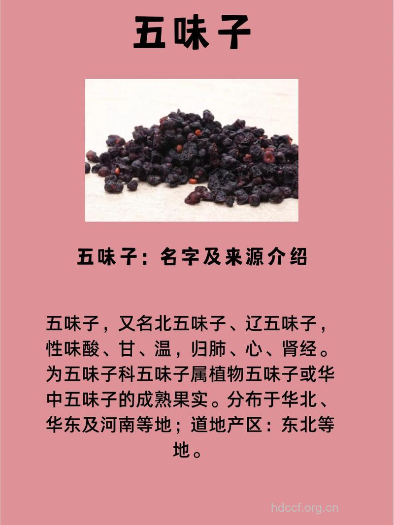 五味子可增强抗肿瘤药疗效