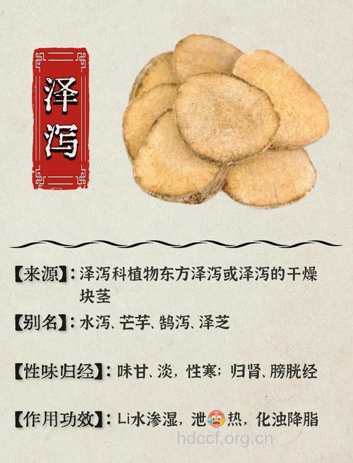 降血压、降血脂 试试中药泽泻