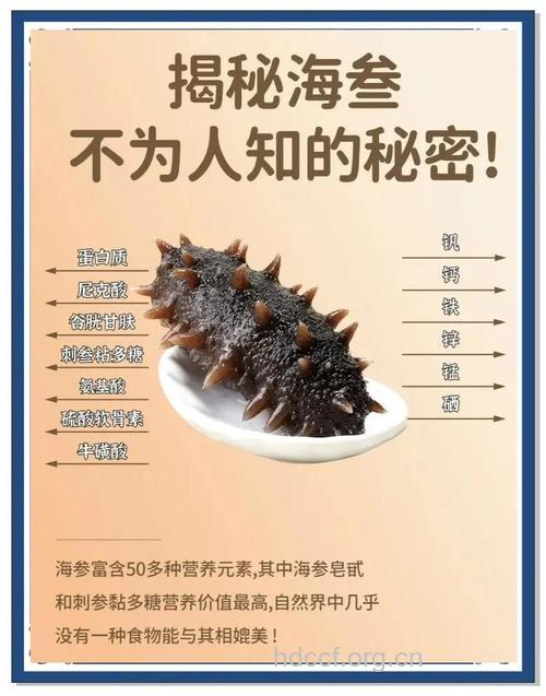 海参是否真值得我们“一掷千金”？